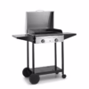 Plancha de Gas Origin G60 Inox. - Imagen 2